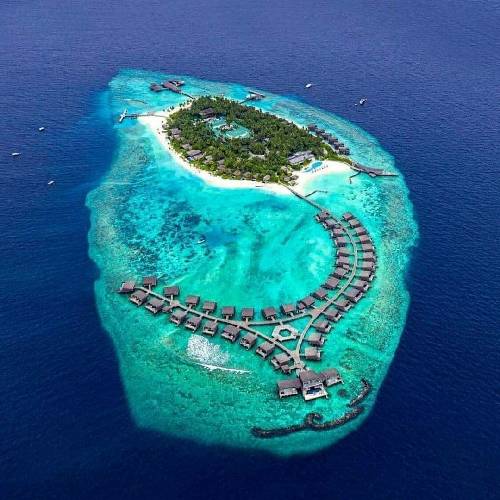 قاضی میگفت بنویس جرمت با خودت همین حالا و الا که فردا